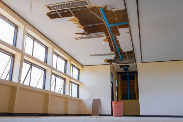 Best Commercial water damage restoration  in Taylor, AZ