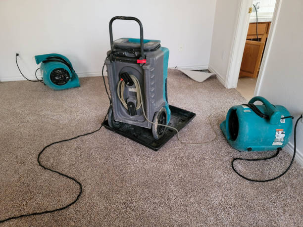 Best Water damage restoration near me  in Taylor, AZ