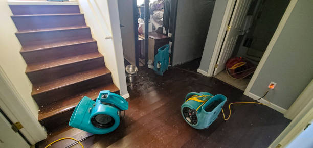 Best Emergency water damage restoration  in Taylor, AZ