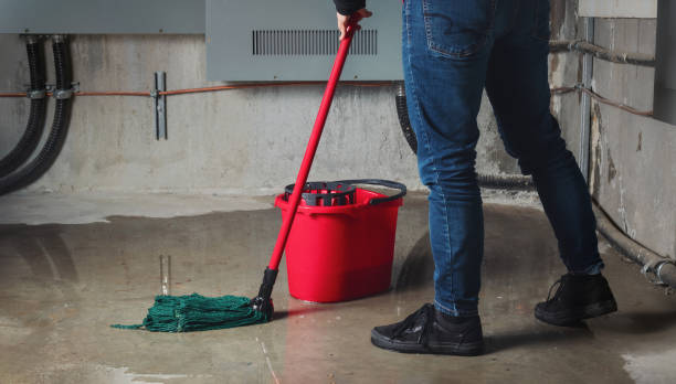 Best Water damage contractors near me  in Taylor, AZ