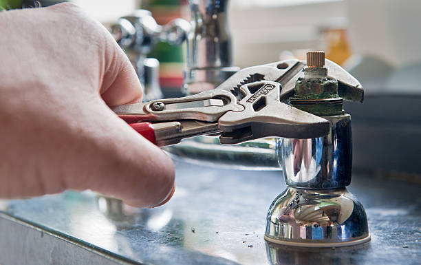 Best Mold removal after water damage  in Taylor, AZ