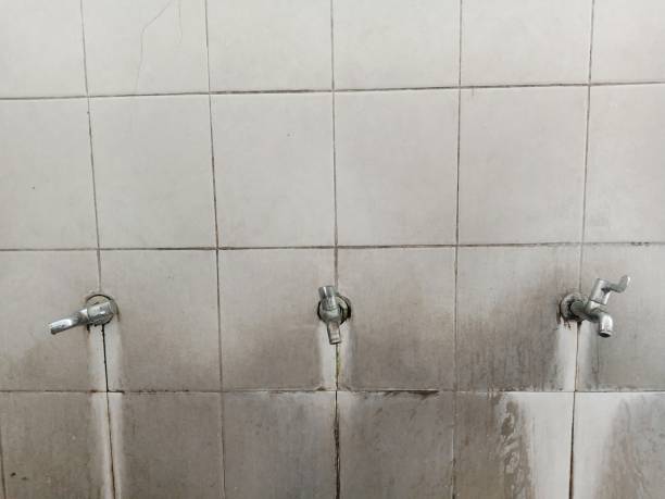 Best Carpet water damage restoration  in Taylor, AZ