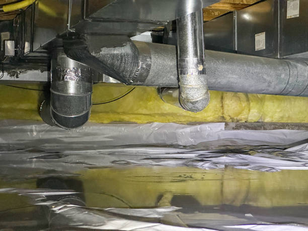  Taylor, AZ Water damage restoration Pros