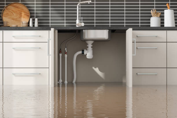 Best Flood damage cleanup  in Taylor, AZ