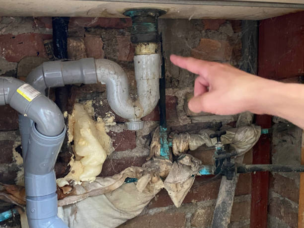 Best Water damage contractors near me  in Taylor, AZ