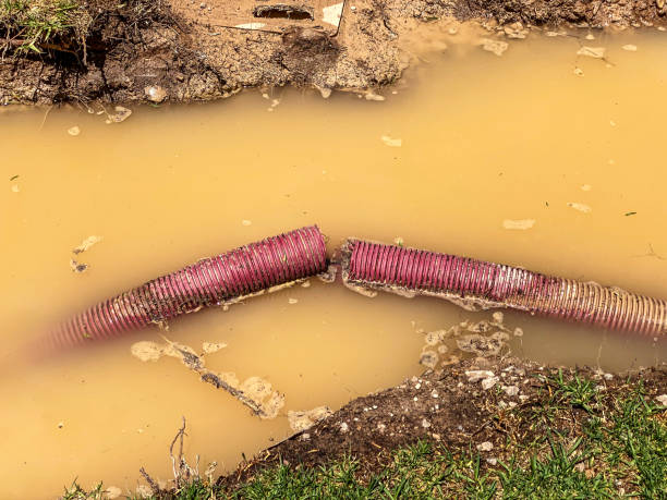 Best 24/7 water damage repair  in Taylor, AZ