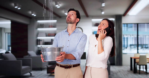 Best Basement water damage restoration  in Taylor, AZ